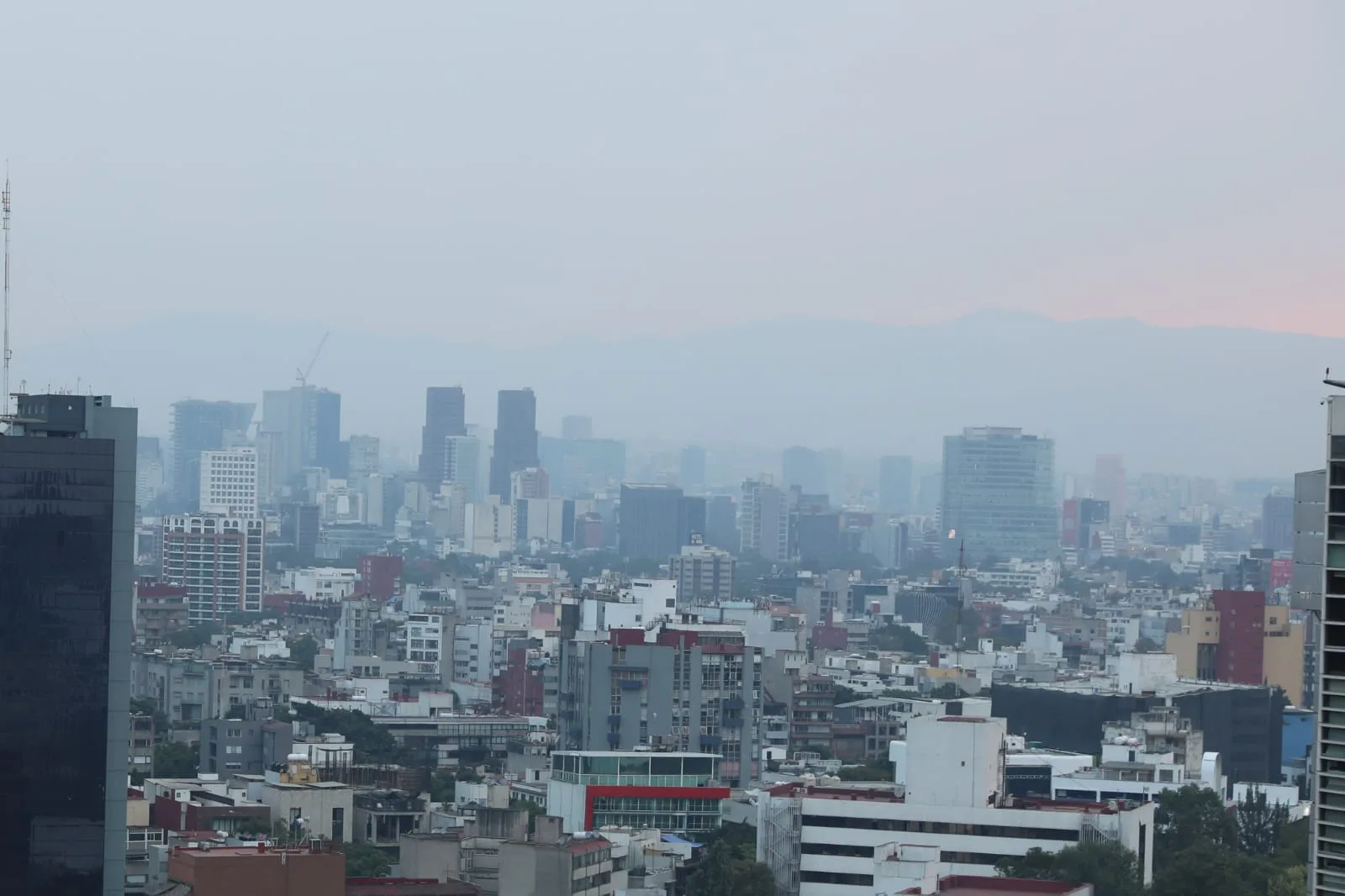 Imagen de Saúl Navarro